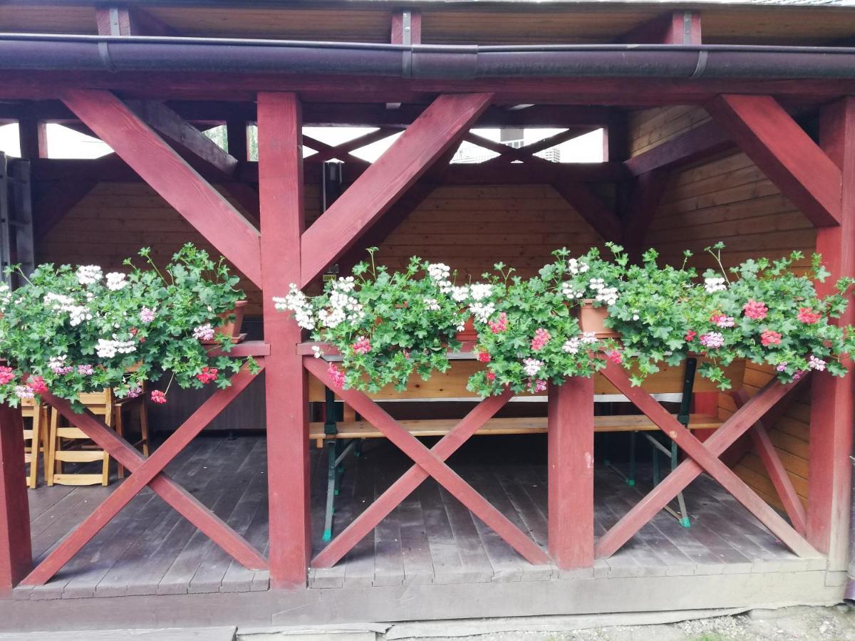 Apartament Roza 브라쇼브 외부 사진