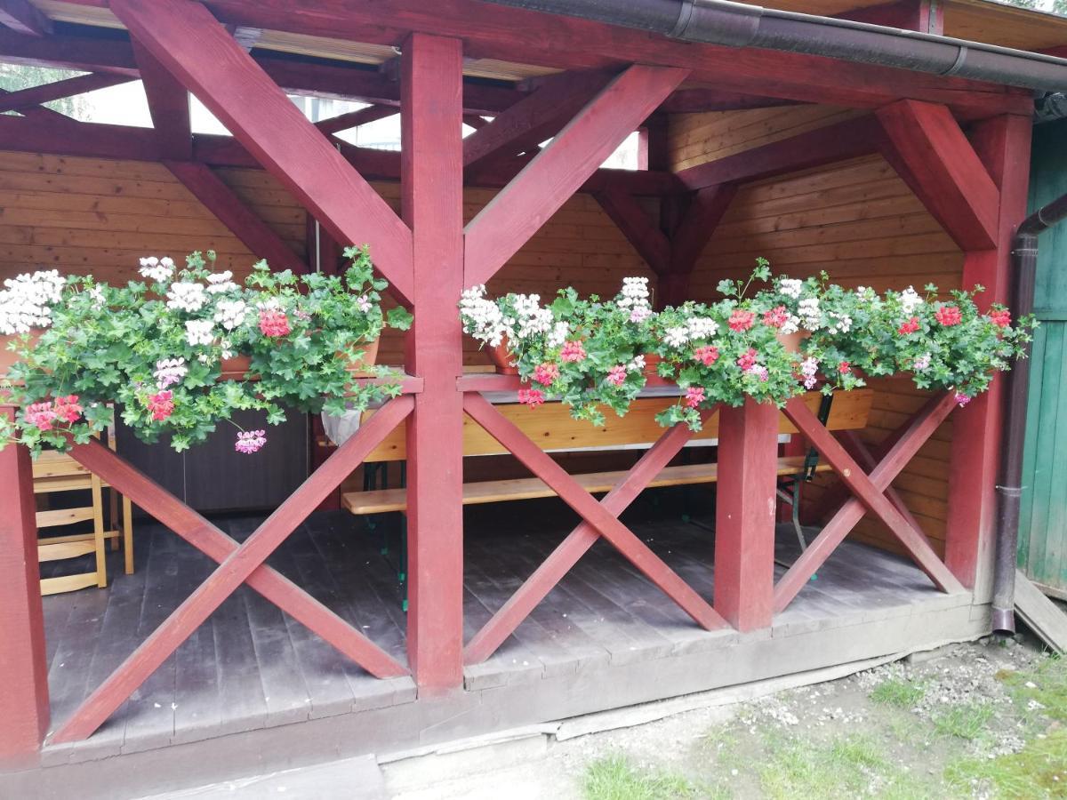 Apartament Roza 브라쇼브 외부 사진