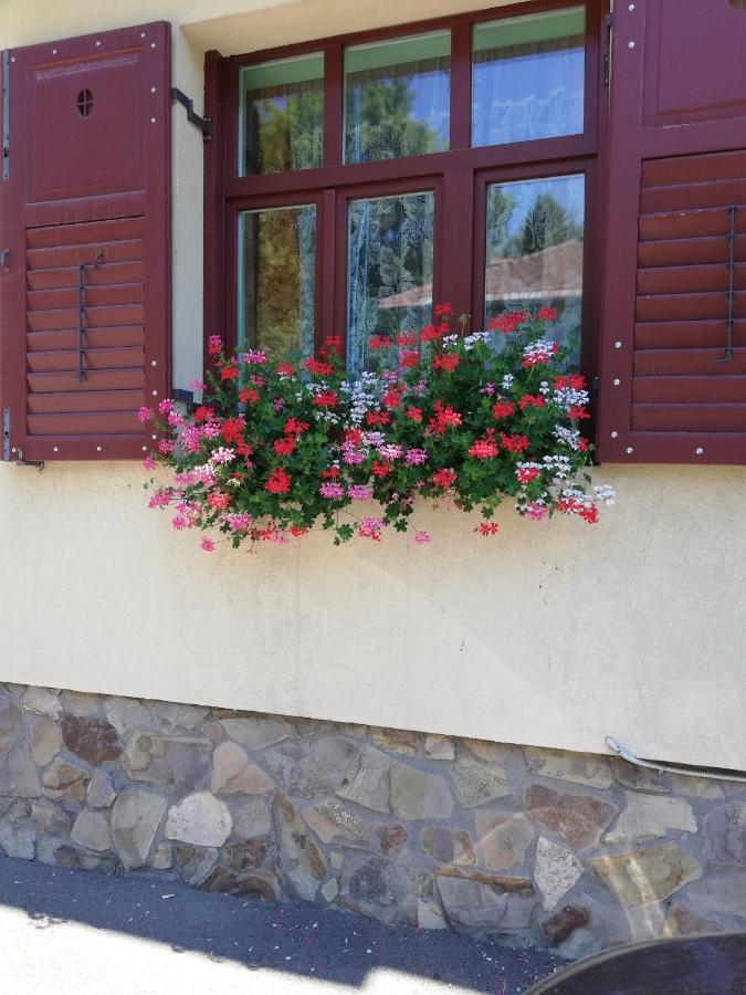 Apartament Roza 브라쇼브 외부 사진