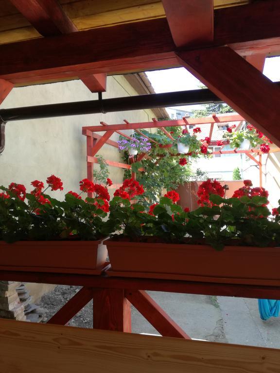 Apartament Roza 브라쇼브 외부 사진